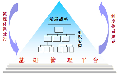 中天华溥 以战略视野赋能未来，管理咨询行业标杆的进阶之路